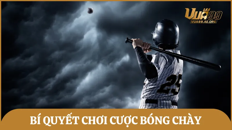 Học hỏi những bí quyết đặt cược bóng chày hiệu quả dành cho tân binh