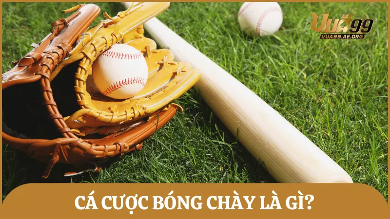 Cá cược bóng chày là hình thức dự đoán kết quả những trận đấu bóng chày