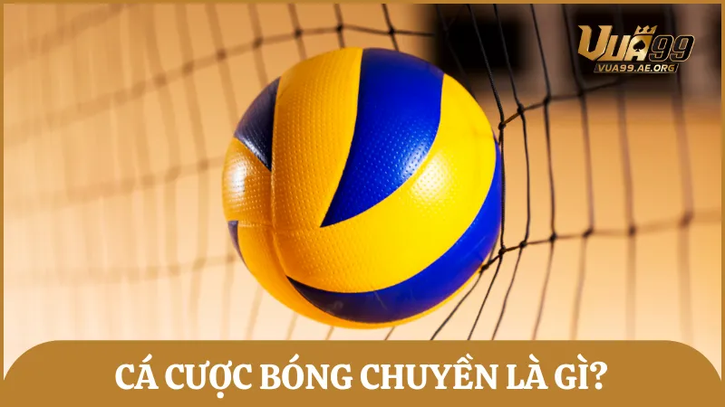 Cá cược bóng chuyền chính là đặt cược theo kết quả trận bóng chuyền và tỷ lệ từ nhà cái