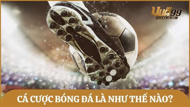 Cá cược bóng đá là hoạt động đặt cược dự đoán kết quả của một trận đấu