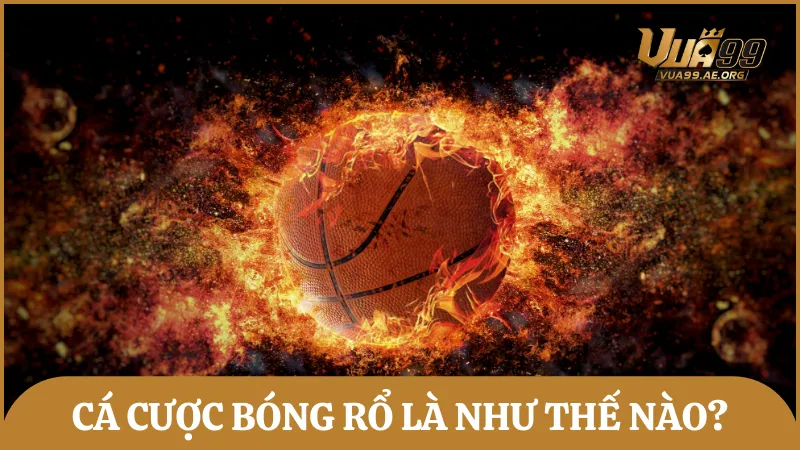 Cá cược bóng rổ là hình thức đặt cược theo kết quả trận đấu bóng rổ