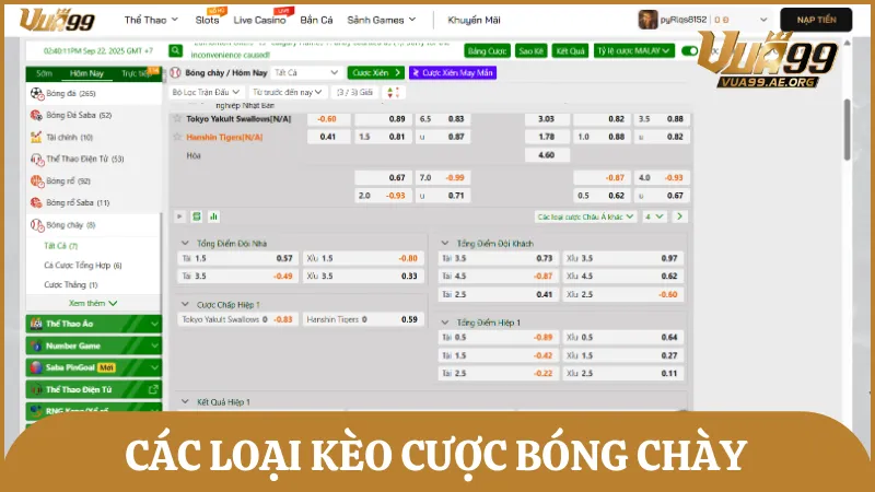 Các loại kèo cược bóng chày thịnh hành trên bảng kèo nhà cái