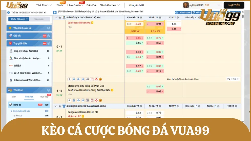 Tổng hợp những kèo bóng đá được ưa chuộng nhất trên bảng kèo nhà cái Vua99