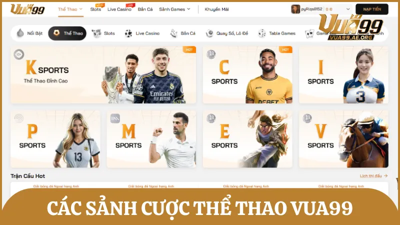 Danh sách các sảnh cá cược thể thao được Vua99 cung cấp