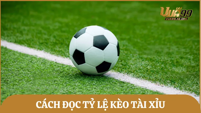 Hướng dẫn cách đọc kèo tài xỉu (Over/Under) đầy đủ và dễ hiểu