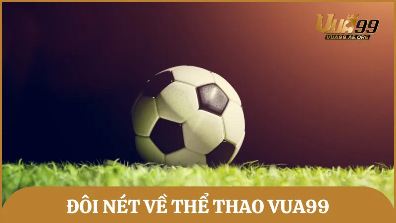 Đôi nét về thể thao Vua99 – Sảnh chơi sôi động, hấp dẫn mỗi ngày