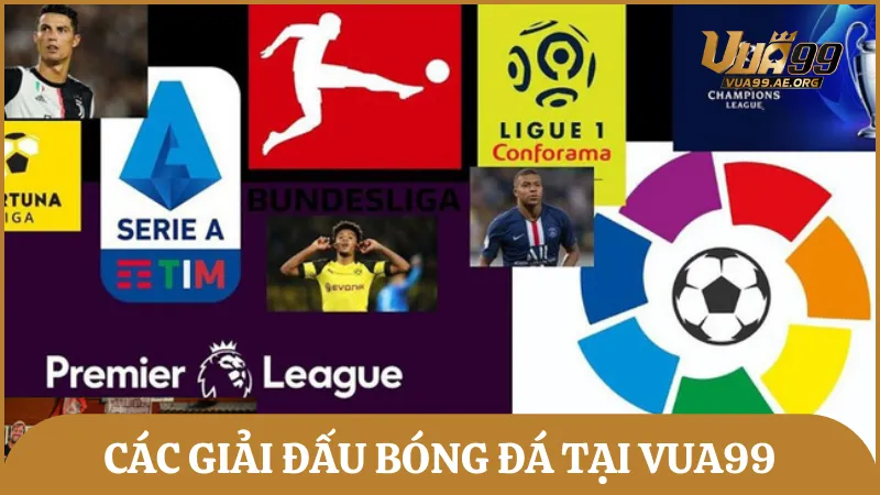Vua99 cung cấp tất cả kèo cược đá bóng cho mọi giải đấu lớn nhỏ hiện nay