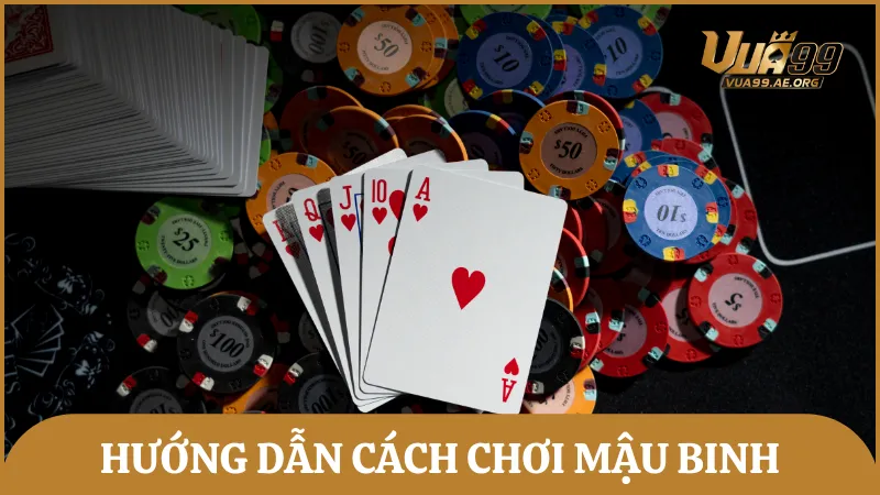 Hướng dẫn chi tiết cách chơi Binh Xập Xám dành cho người mới tham gia