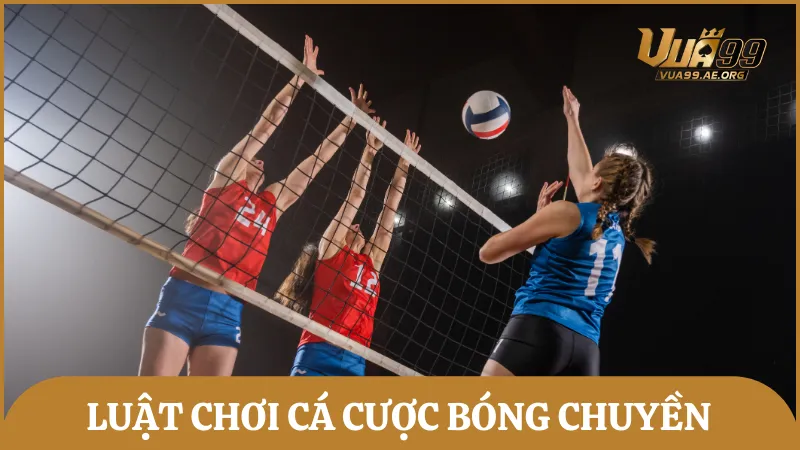 Hướng dẫn chi tiết luật chơi bóng chuyền và nguyên tắc đặt cược