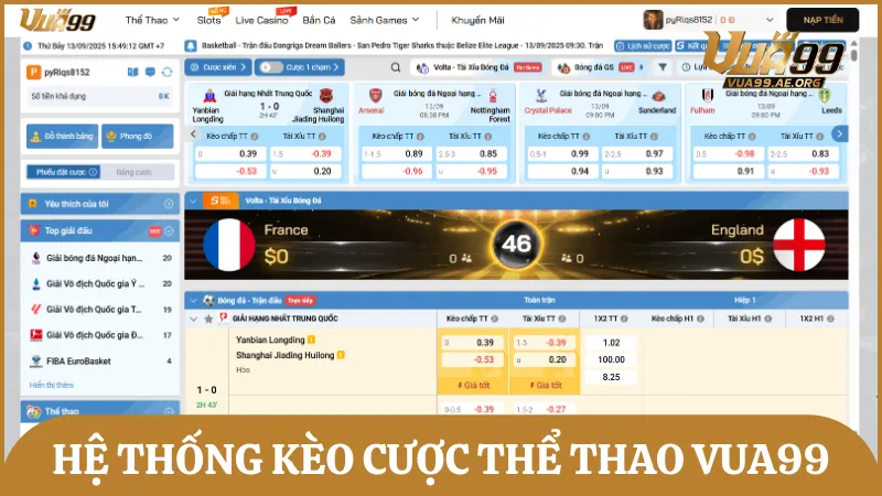 Hệ thống kèo cược bóng đá đa dạng, được Vua99 cập nhật nhanh chóng