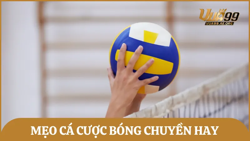 Chia sẻ những mẹo cược bóng chuyển hữu ích giúp nâng cao tỷ lệ thắng