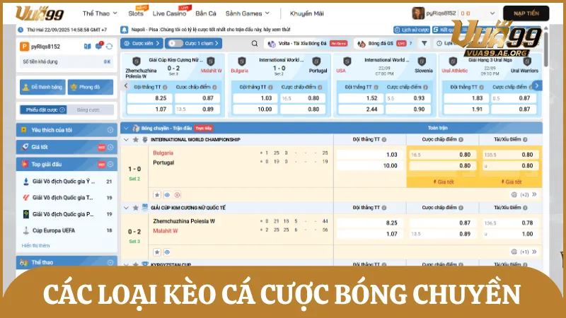 Tổng hợp những loại kèo cược bóng chuyền phổ biến được Vua99 cung cấp