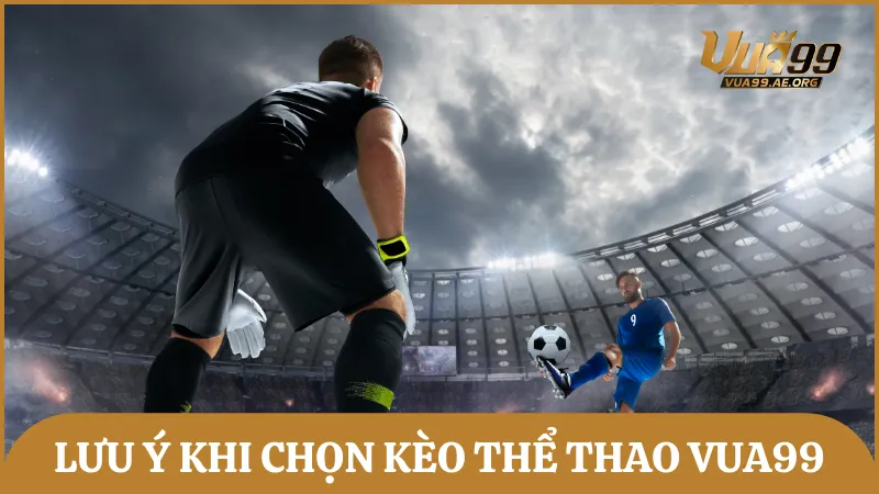 Chia sẻ những yếu tố ảnh hưởng đến việc lựa chọn kèo cược thể thao trên Vua99