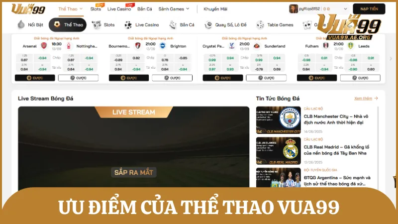 Những lý do thu hút người chơi đến với sảnh cược thể thao của Vua99